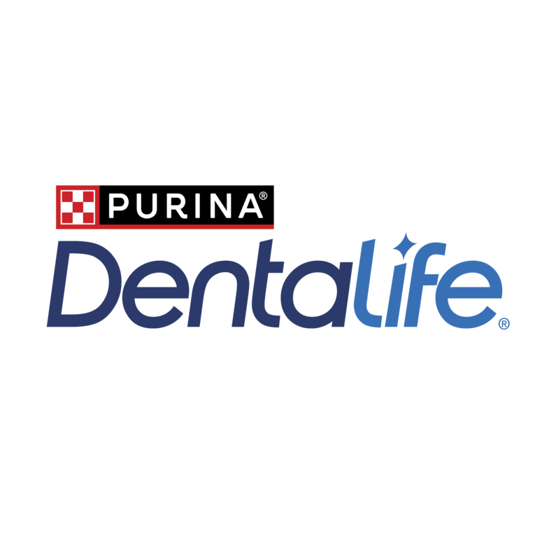 Dentalife