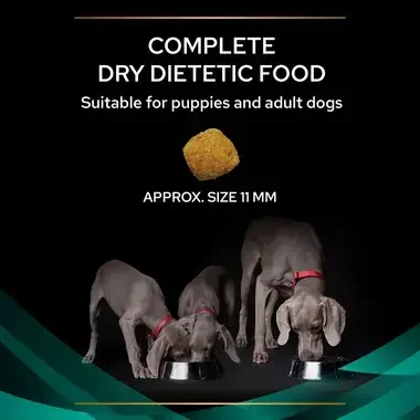 PRO PLAN® VETERINARY DIETS EN Gastrointestinal Dry Dog Food