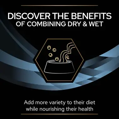 PURINA® PROPLAN® VETERINARY DIETS CN Convalescence™ Wet Cat and Dog Food Can Mousse