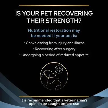 PURINA® PROPLAN® VETERINARY DIETS CN Convalescence™ Wet Cat and Dog Food Can Mousse