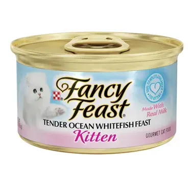 פנסי פיסט מזון לח ומלא לגור חתולים פטה דג אוקיינוס_50000574988_12558940