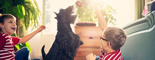 Children playing with dog