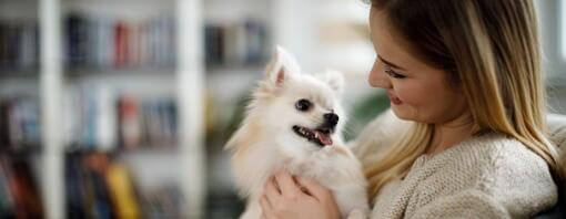 Woman with a white dog at home