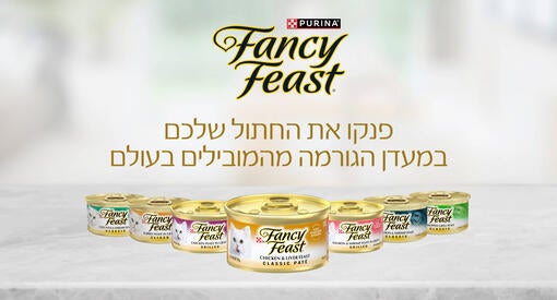 פנסי פיסט פנקו את החתו שלכם במעדן הגורמה מהמובילים בעולם