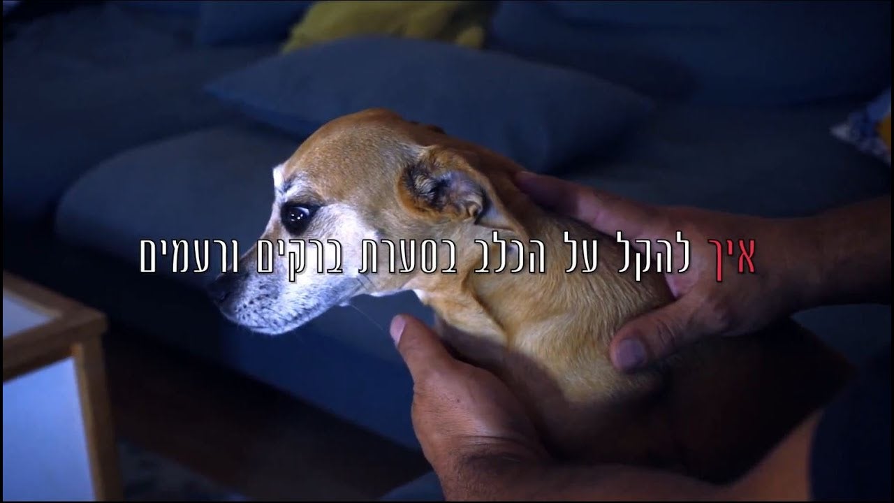 ברקים ורעמים