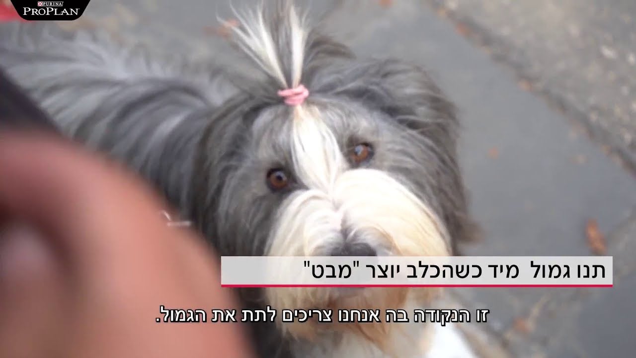 איך ללמד קשב וריכוז בטיול