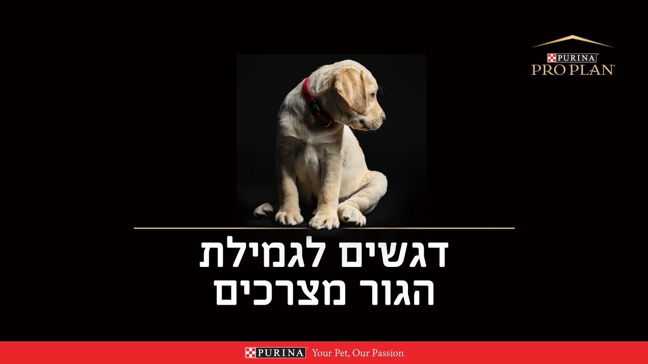 פרו פלאן - גור חדש בבית דברים שחשוב לדעת בנושא גמילת צרכים