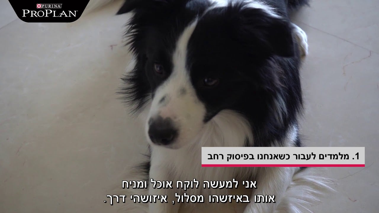 עבור