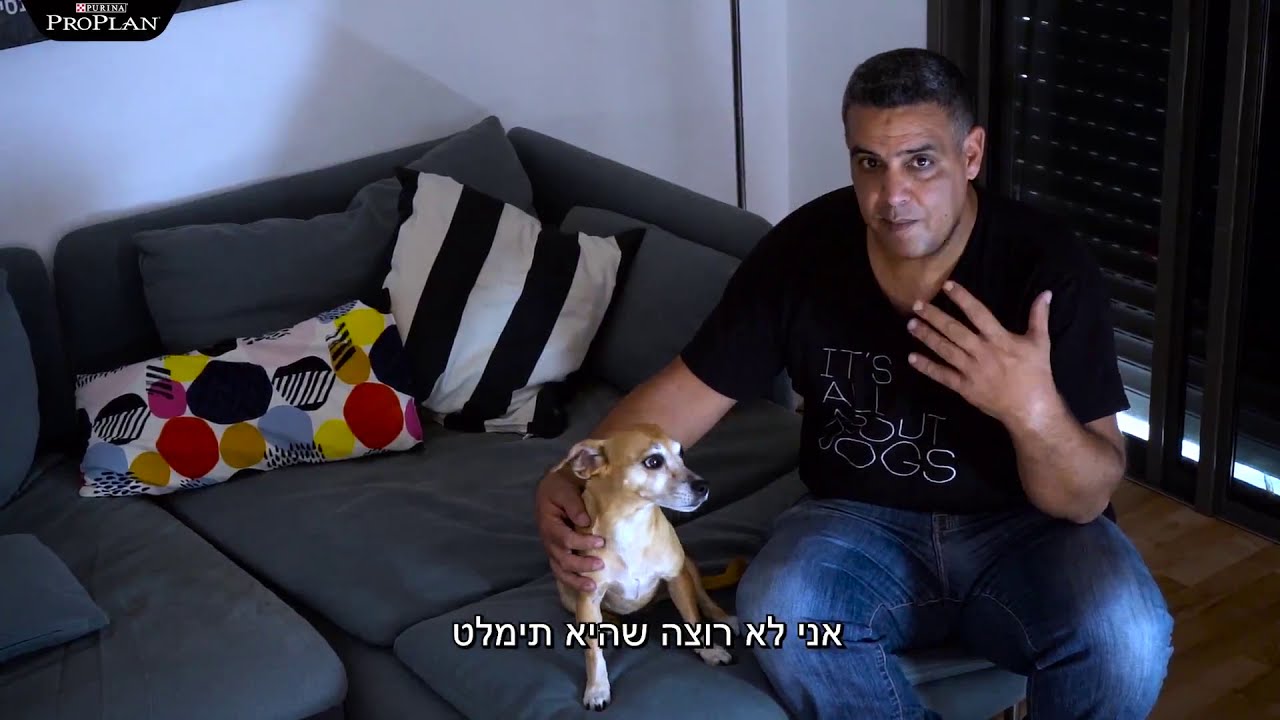 ברקים ורעמים