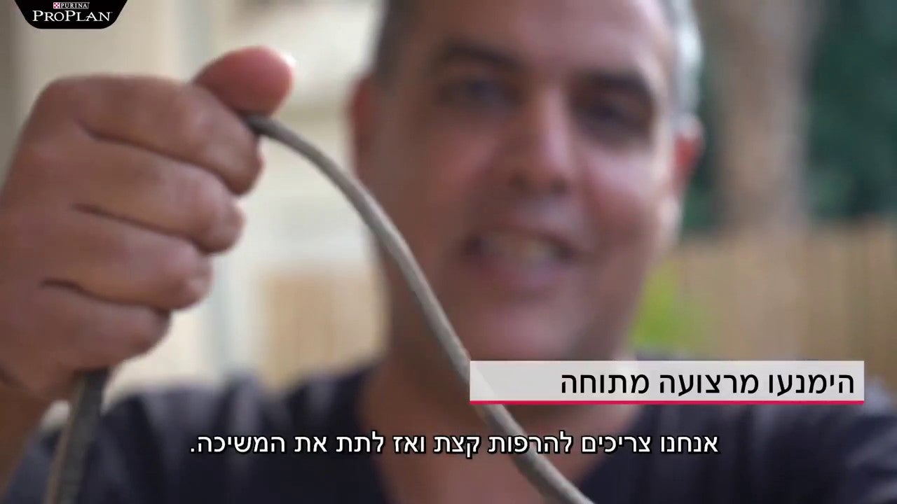 איך למנוע מהכלב למשוך רצועה