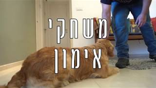 משחקי אימון