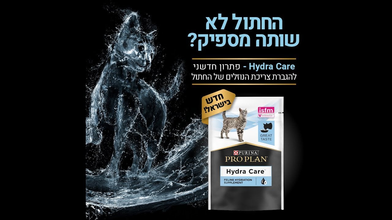 הידרה קר - פתרון חדשני להגברת צריכת הנוזלים של החתול