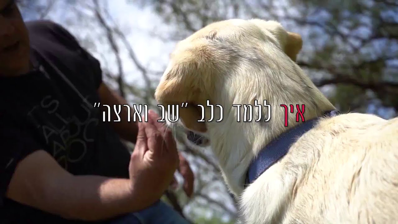 איך ללמד שב וארצה